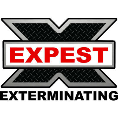 Expest Exterminating Pest Control Snellville