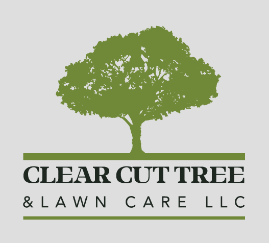 Clear Cut Tree & Lawn Care